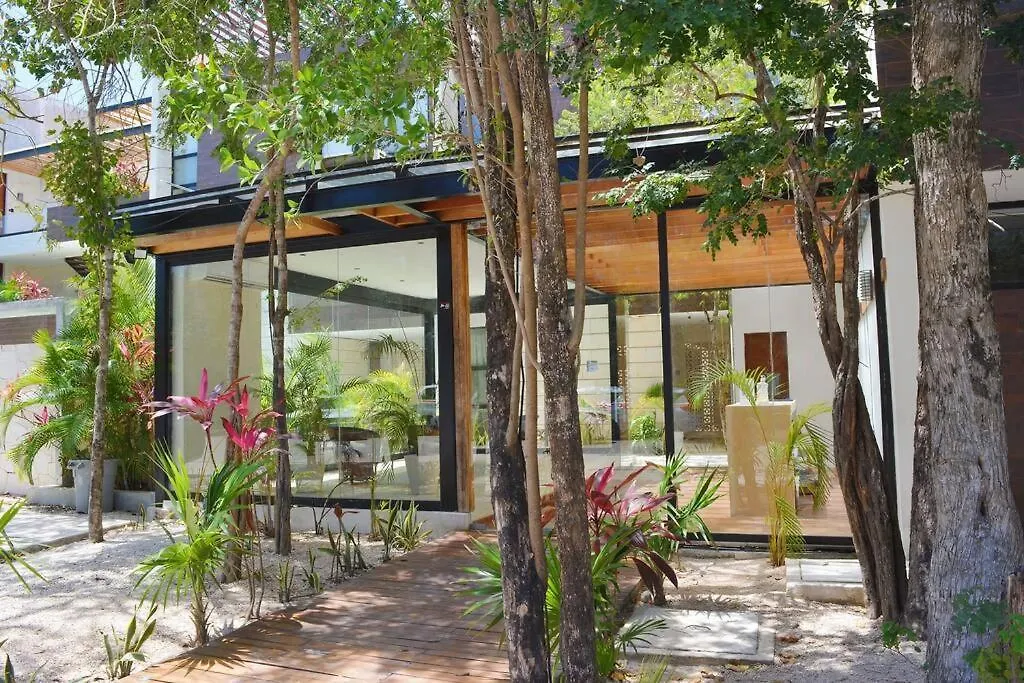 Apartment Exclusive, Spacious, Comfy 3 Bedroom Ph With Pool! Tulum